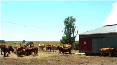 Unruh barn. Photo copyright 2010 by Leon Unruh.