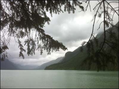 Sitka spruces on a drizzly day, Chilkoot State Recreation Area near Haines. Photo copyright 2011 by Leon Unruh.