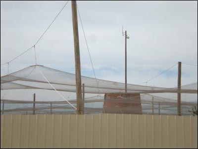 Gamebirds raised under this netting will be sold for hunting. Photo copyright 2010 by Leon Unruh.