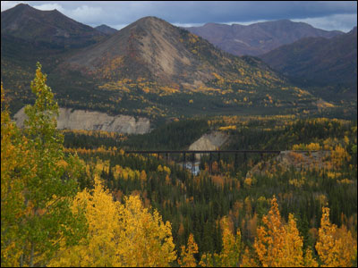 An Alaska Railroad bridge crosses Riley Creek in Denali National Park. Photo copyright 2009 by Leon Unruh.