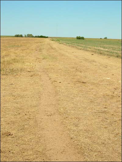 Driveway where Leon Unruh learned to drive on the former Unruh farm north of Pawnee Rock. Photo copyright 2010 by Leon Unruh.