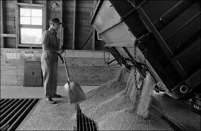 Man working in the Dundee elevator, 1976. Photo copyright 2009 by Leon Unruh.