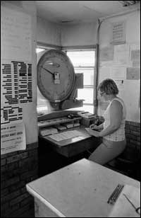 Vera Schmidt in the Farmers Grain office, 1970s. Photo copyright 2009 by Leon Unruh.