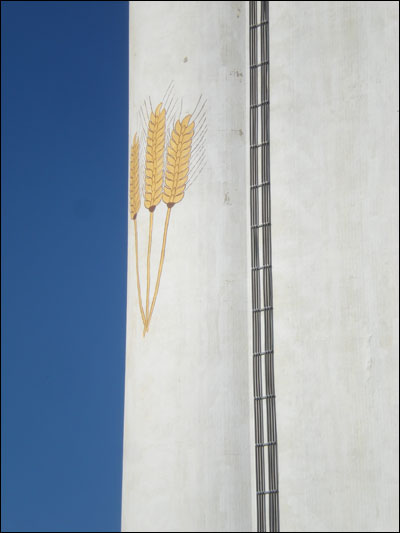 Wheat painted on the southeast side of the Farmers Grain elevator in Pawnee Rock. Photo copyright 2010 by Leon Unruh.