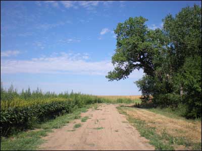 End of road in northwest Pawnee Rock. Photo copyright 2010 by Leon Unruh.