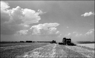 Harvest near Pawnee Rock. Photo copyright 1976 by Leon Unruh.