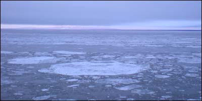 Pan ice moves past Point Woronzof in Anchorage. Photo copyright 2009 by Leon Unruh.