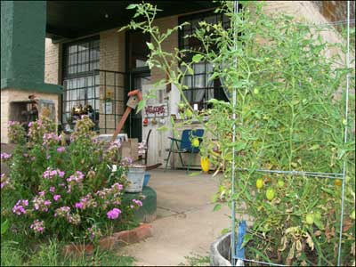 Tomatoes outside P. Lee's Antiques store, Pawnee Rock, August 2006. Photo copyright 2009 by Leon Unruh.