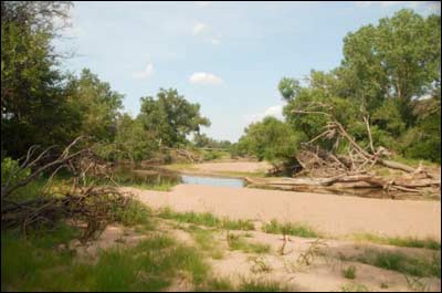 Arkansas River, July 2008. Photo copyright 2008 by Jim Dye.