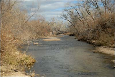 Arkansas River. Photographed by Jim Dye. Photo copyright 2008 by Jim Dye.