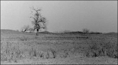 Sandhills south of the Arkansas River south of Pawnee Rock. Photo copyright 2008 by Leon Unruh.