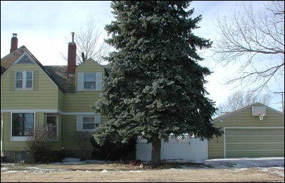 Spruce tree at the former Smith home in Pawnee Rock. Photo copyright 2009 by Leon Unruh.