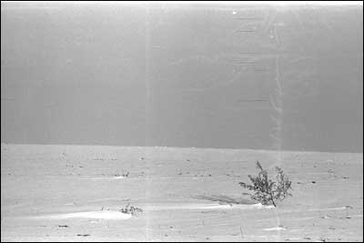 Tumbleweed in the wind-driven snow near Pawnee Rock. Photo copyright 2010 by Leon Unruh.