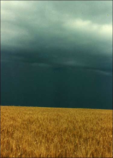 A storm marches in on a wheatfield. Photo copyright 2010 by Leon Unruh.